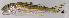  ( - M001-002)  @11 [ ] Copyright (2013) D. Ponton IRD