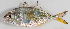  ( - M003-078)  @11 [ ] Copyright (2013) D. Ponton IRD