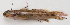  ( - M017-001)  @11 [ ] Copyright (2013) D. Ponton IRD