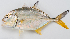  ( - M027-024)  @11 [ ] Copyright (2013) D. Ponton IRD