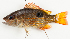  ( - M028-002)  @11 [ ] Copyright (2013) D. Ponton IRD