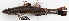  (Psammogobius biocellatus - M028-004)  @13 [ ] Copyright (2013) D. Ponton IRD