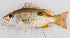  ( - M044-003)  @11 [ ] Copyright (2014) D. Ponton IRD