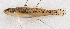  ( - M045-005)  @11 [ ] Copyright (2014) D. Ponton IRD