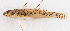  ( - M045-009)  @11 [ ] Copyright (2014) D. Ponton IRD