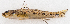  ( - M046-002)  @11 [ ] Copyright (2014) D. Ponton IRD