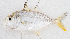  ( - M052-011)  @11 [ ] Copyright (2014) D. Ponton IRD