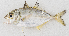  ( - M056-007)  @11 [ ] Copyright (2014) D. Ponton IRD