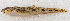  ( - M061-043)  @11 [ ] Copyright (2014) D. Ponton IRD
