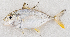  ( - M063-027)  @11 [ ] Copyright (2014) D. Ponton IRD