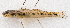  ( - M076-016)  @11 [ ] Copyright (2014) D. Ponton IRD