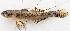  ( - M077-002)  @11 [ ] Copyright (2014) D. Ponton IRD