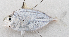  ( - M082-041)  @11 [ ] Copyright (2014) D. Ponton IRD
