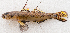  ( - M084-001)  @11 [ ] Copyright (2014) D. Ponton IRD