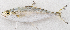  ( - M086-008)  @11 [ ] Copyright (2014) D. Ponton IRD