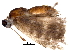  ( - BIOUG18622-A12)  @13 [ ] CreativeCommons - Attribution (2016) CBG Photography Group Centre for Biodiversity Genomics