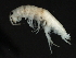  ( - PMP UKS-14)  @11 [ ] CreativeCommons - Attribution (2019) CBG Photography Group Centre for Biodiversity Genomics