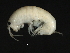  ( - PMP UKD-14)  @11 [ ] CreativeCommons - Attribution (2019) CBG Photography Group Centre for Biodiversity Genomics