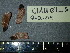  ( - PNCA165)  @11 [ ] CreativeCommons - Attribution Non-Commercial Share-Alike (2012) Aaron Liston Oregon State University