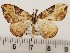 ( - CSUC102)  @11 [ ] CreativeCommons  Attribution Share-Alike (2021) Candice Sawyer California State University, Chico State Entomology Collection