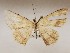  ( - CSUC124)  @11 [ ] CreativeCommons  Attribution Share-Alike (2021) Candice Sawyer California State University, Chico State Entomology Collection