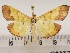  ( - CSUC127)  @11 [ ] CreativeCommons  Attribution Share-Alike (2021) Candice Sawyer California State University, Chico State Entomology Collection