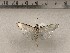 ( - CSUC180)  @11 [ ] CreativeCommons  Attribution Share-Alike (2021) Candice Sawyer California State University, Chico State Entomology Collection