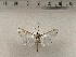  ( - CSUC181)  @11 [ ] CreativeCommons  Attribution Share-Alike (2021) Candice Sawyer California State University, Chico State Entomology Collection