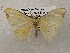  ( - CSUC190)  @11 [ ] CreativeCommons  Attribution Share-Alike (2021) Candice Sawyer California State University, Chico State Entomology Collection
