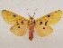  ( - CSUC199)  @11 [ ] CreativeCommons  Attribution Share-Alike (2021) Candice Sawyer California State University, Chico State Entomology Collection
