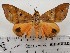  ( - CSUC47)  @11 [ ] CreativeCommons  Attribution Share-Alike (2021) Candice Sawyer California State University, Chico State Entomology Collection
