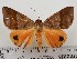  ( - CSUC48)  @11 [ ] CreativeCommons  Attribution Share-Alike (2021) Candice Sawyer California State University, Chico State Entomology Collection