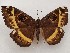  ( - CSUC4)  @11 [ ] CreativeCommons  Attribution Share-Alike (2021) Candice Sawyer California State University, Chico State Entomology Collection