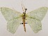  ( - CSUC92)  @11 [ ] CreativeCommons  Attribution Share-Alike (2021) Candice Sawyer California State University, Chico State Entomology Collection