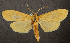  ( - 1377072)  @11 [ ] Unspecified (default): All Rights Reserved  Unspecified Unspecified