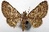  ( - CCDB-20690-D06)  @11 [ ] CreativeCommons - Attribution (2014) David Pollock Centre for Biodiversity Genomics