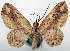  ( - CCDB-20690-E12)  @11 [ ] CreativeCommons - Attribution (2014) David Pollock Centre for Biodiversity Genomics