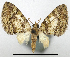  ( - CCDB-20690-C05)  @11 [ ] CreativeCommons - Attribution (2014) David Pollock Centre for Biodiversity Genomics