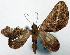  ( - CCDB-20690-D07)  @11 [ ] CreativeCommons - Attribution (2014) David Pollock Centre for Biodiversity Genomics