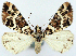  ( - CCDB-21786-B07)  @11 [ ] CreativeCommons - Attribution (2014) David Pollock Centre for Biodiversity Genomics