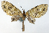  ( - CCDB-21789-F12)  @11 [ ] CreativeCommons - Attribution (2014) David Pollock Centre for Biodiversity Genomics