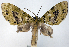  ( - CCDB-21789-G01)  @11 [ ] CreativeCommons - Attribution (2014) David Pollock Centre for Biodiversity Genomics