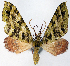  ( - CCDB-21789-E08)  @11 [ ] CreativeCommons - Attribution (2014) David Pollock Centre for Biodiversity Genomics