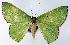  ( - CCDB-21789-D07)  @11 [ ] CreativeCommons - Attribution (2014) David Pollock Centre for Biodiversity Genomics