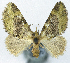  ( - CCDB-21790-B04)  @11 [ ] CreativeCommons - Attribution (2014) David Pollock Centre for Biodiversity Genomics