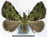  ( - CCDB-21790-A09)  @11 [ ] CreativeCommons - Attribution (2014) David Pollock Centre for Biodiversity Genomics