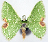  (Protuliocnemis unidentata - 817438)  @11 [ ] CreativeCommons - Attribution Non-Commercial Share-Alike (2015) David Polluck Smithsonian Institution