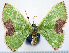  ( - 817448)  @11 [ ] CreativeCommons - Attribution Non-Commercial Share-Alike (2015) David Polluck Smithsonian Institution