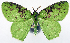  ( - 817463)  @11 [ ] CreativeCommons - Attribution Non-Commercial Share-Alike (2015) David Polluck Smithsonian Institution