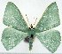  ( - 817481)  @11 [ ] CreativeCommons - Attribution Non-Commercial Share-Alike (2015) David Polluck Smithsonian Institution